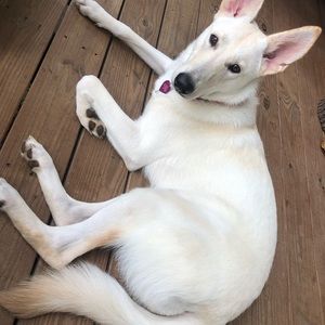 Meet your Posher, Edward